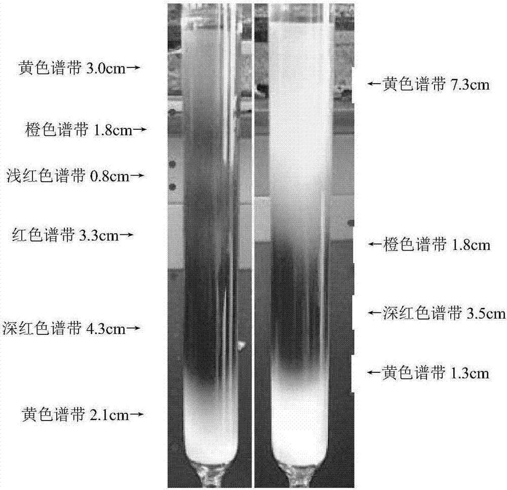 辣椒红素及其制备方法与流程