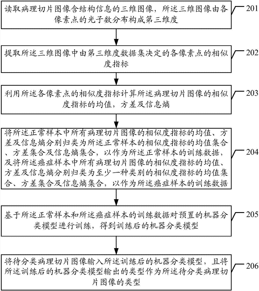 病理切片圖像智能分類方法及裝置與流程