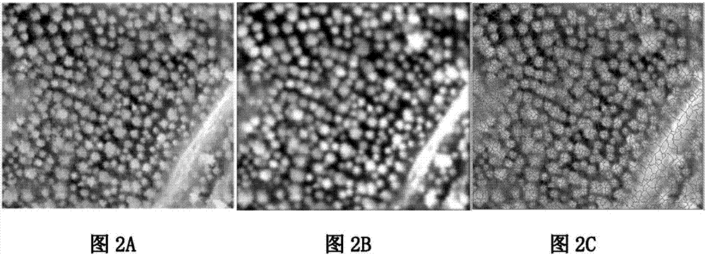 一种结合形态学和标记控制的无人机影像林冠分割方法与流程