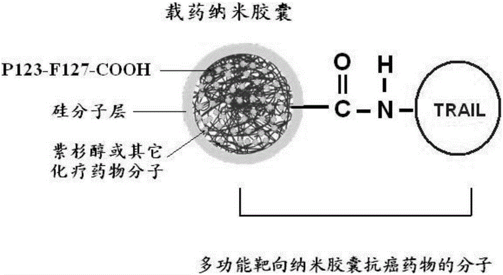 纳米胶囊抗癌药物的设计与合成技术,特别是一种包载紫杉醇的纳米胶囊