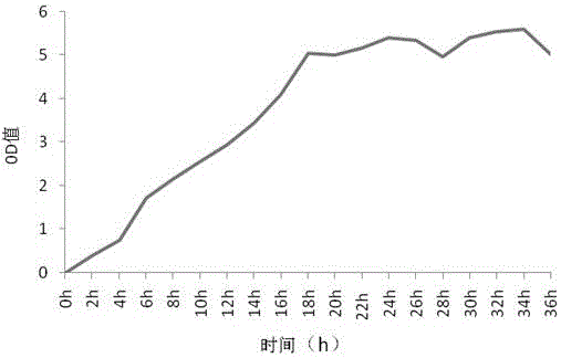 一種酶菌聯(lián)合降解羽毛的方法與流程