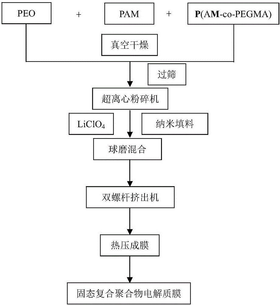 一种聚丙烯酰胺类固态复合聚合物电解质及其制备方法与流程