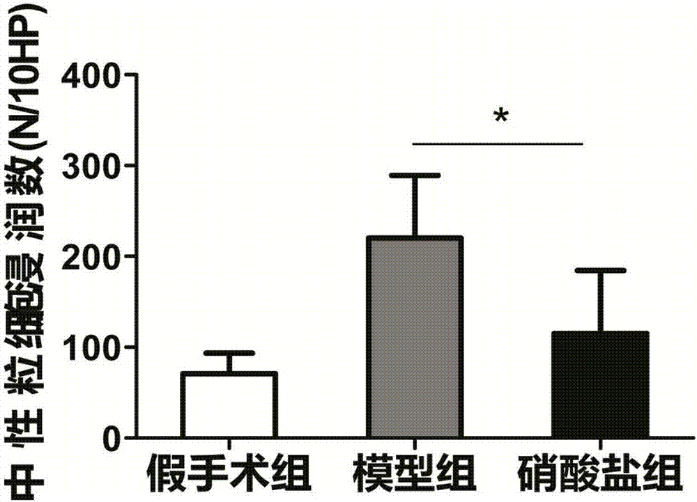 一種預防皮瓣缺血再灌注損傷的藥物的制作方法與工藝