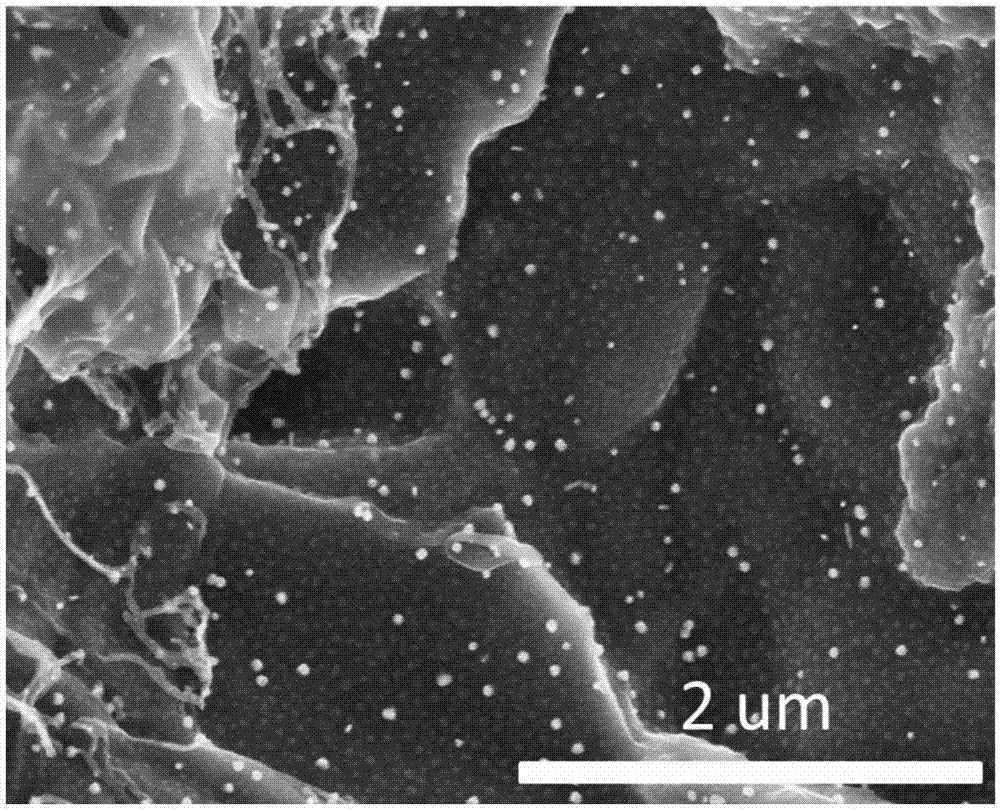 一种以生物质为碳源凝胶法制备氮掺杂多孔纳米碳材料的方法与流程
