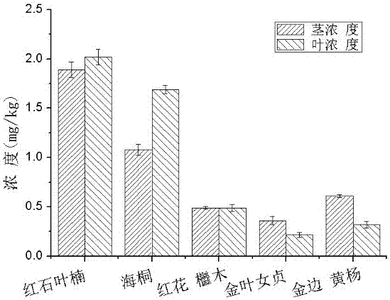 一种组合绿化植物修复重金属污染土壤的方法与流程