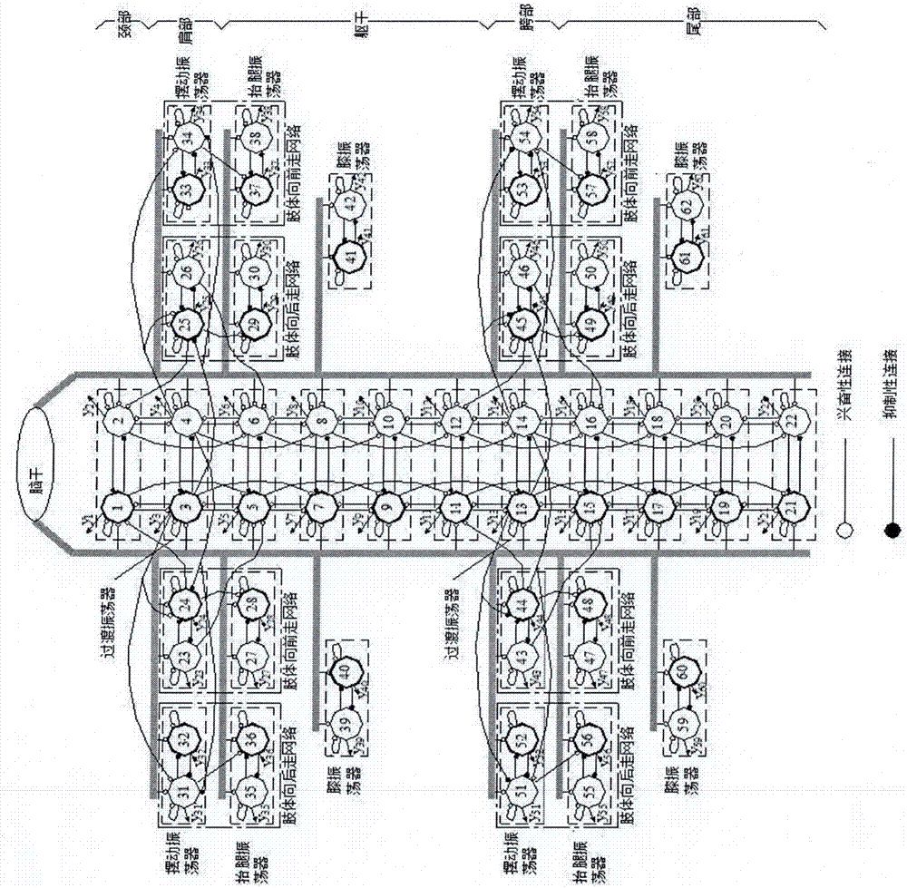 仿生機(jī)器人控制網(wǎng)絡(luò)的分層構(gòu)建方法與流程