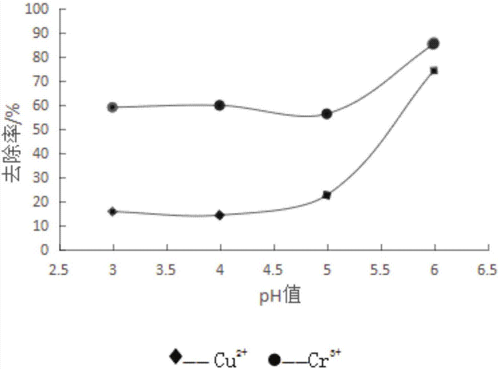 一種消減養(yǎng)豬場糞污的低電壓方法與流程