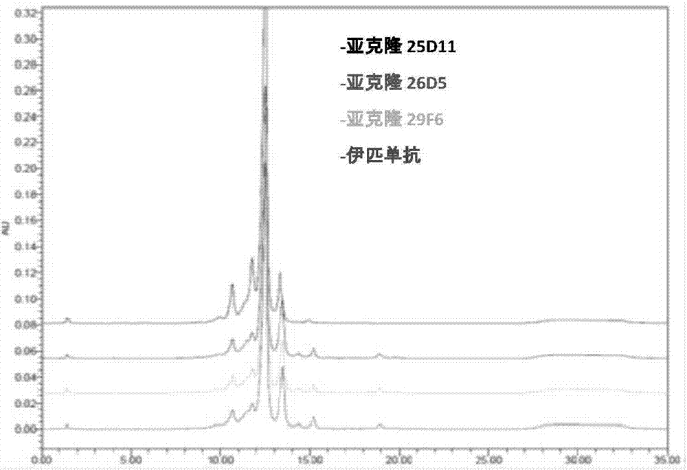 以CTLA?4為靶點的免疫調(diào)節(jié)藥物治療結核病的應用的制作方法與工藝