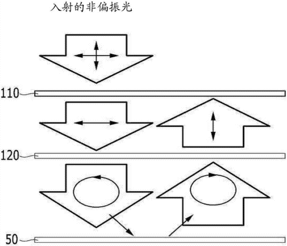 聚合物、補(bǔ)償膜、光學(xué)膜和顯示裝置的制作方法