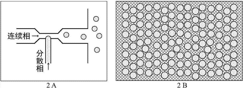 一種油包水連續(xù)相、其制備方法及應(yīng)用與流程