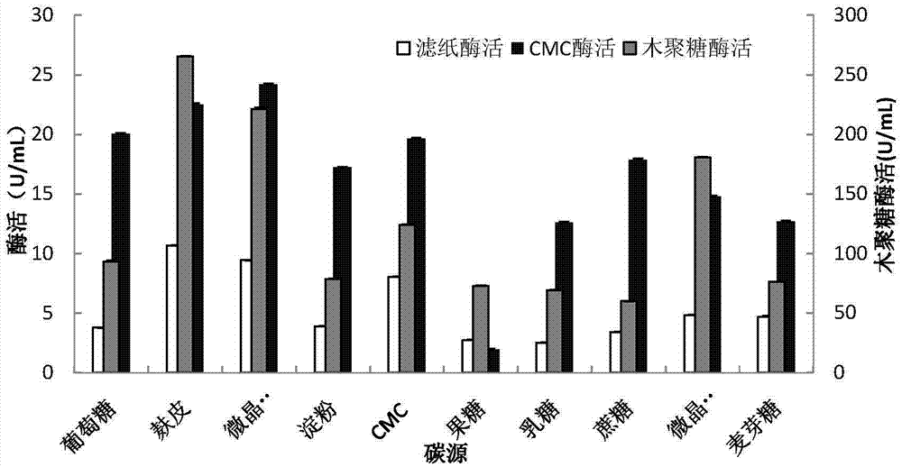 制備纖維素酶和/或木聚糖酶的方法及其專(zhuān)用菌株與流程