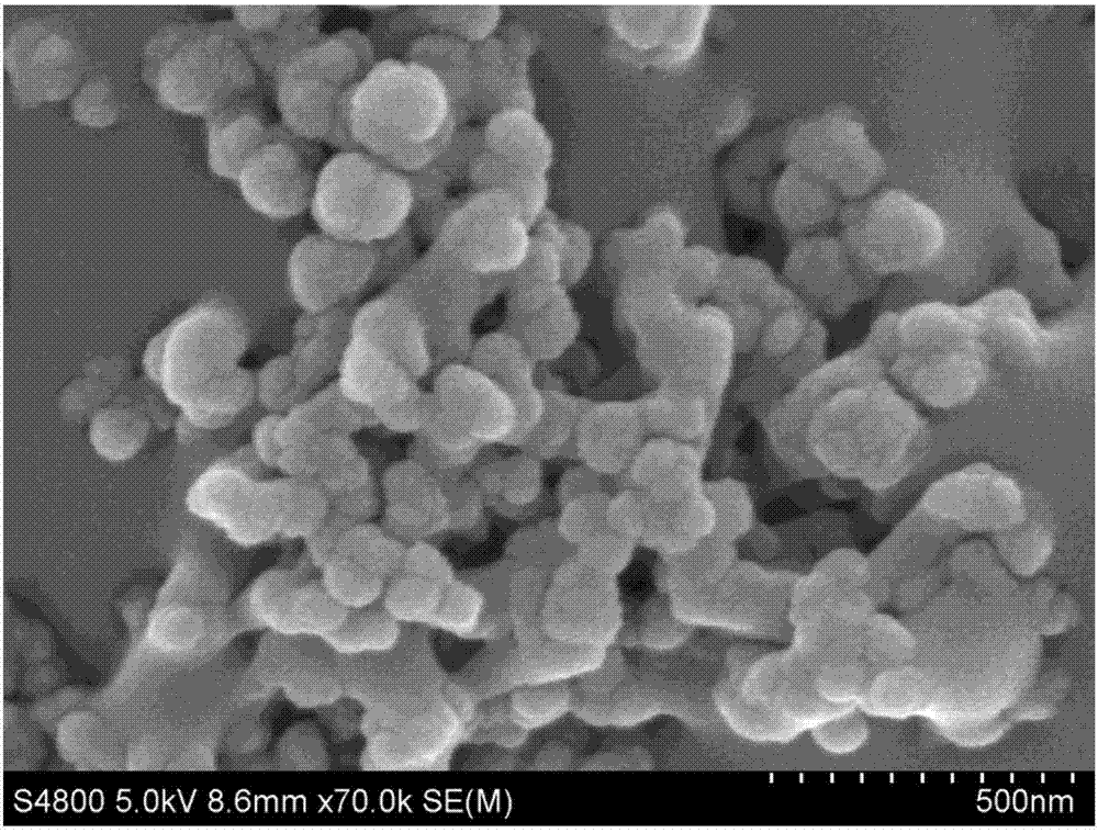 单细胞生物基高疏水微米粉体材料及其制备方法与流程