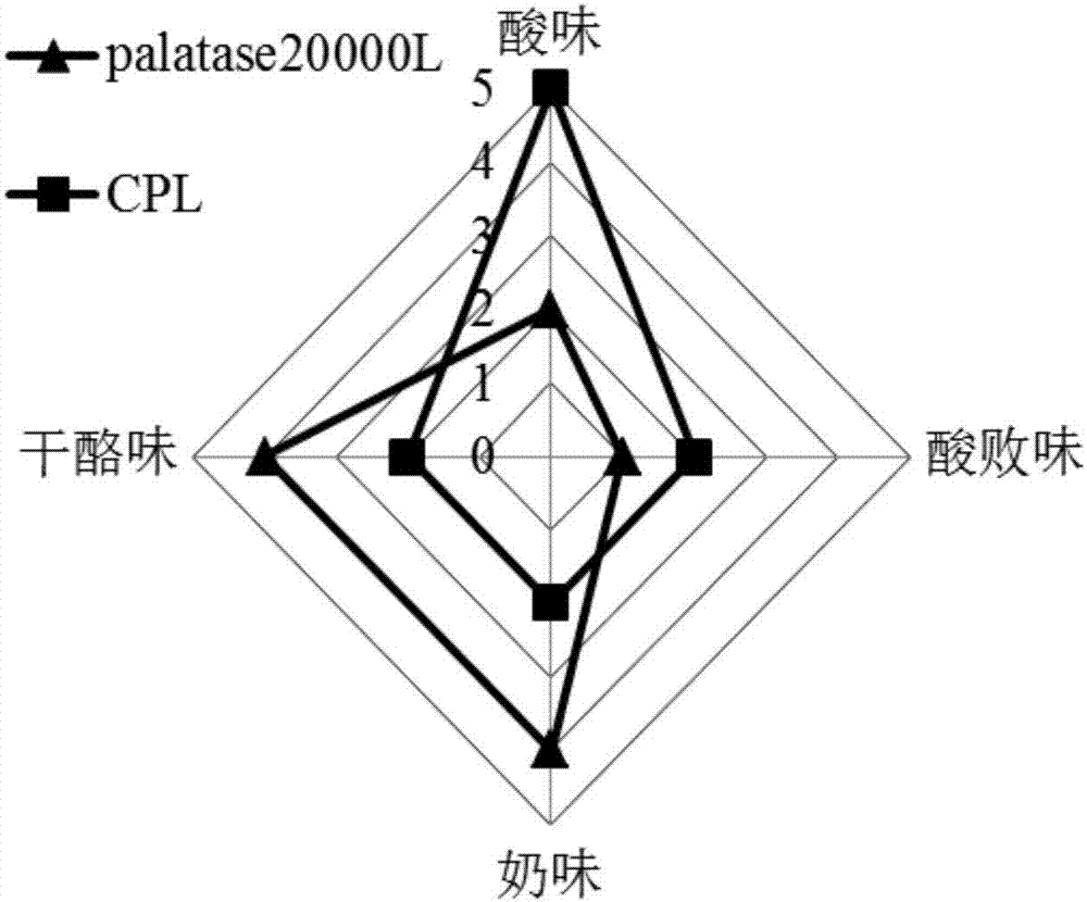 一種木瓜酶制劑的產(chǎn)業(yè)化制備方法及其應(yīng)用與流程