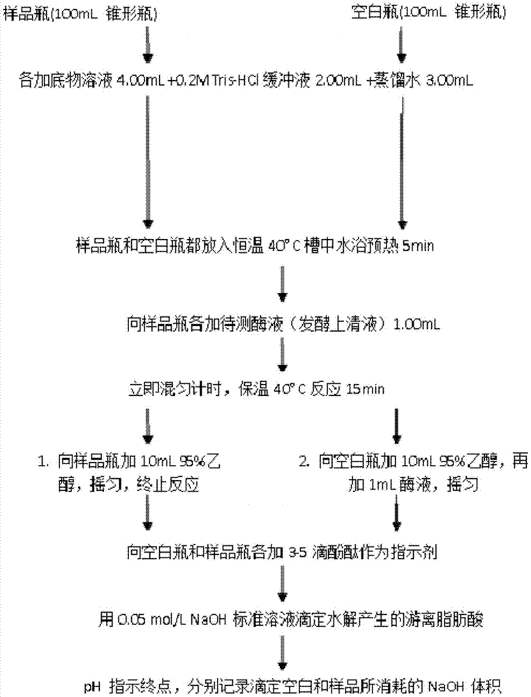 受柠檬酸钠诱导的启动子的制作方法与工艺