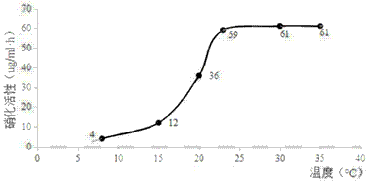 一種硝化細(xì)菌硝化效果的快速檢測方法與流程