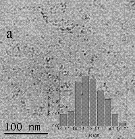 油溶性碳量子點(OCDs)、PMMA@OOCDs、其制備方法及其應(yīng)用與流程