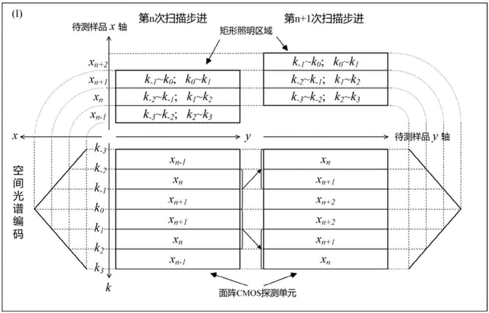 用于运动伪影校正的空间光谱编码并行OCT系统和方法与流程