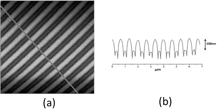 复合表面等离子体共振及表面增强拉曼的显微成像技术的制作方法与工艺
