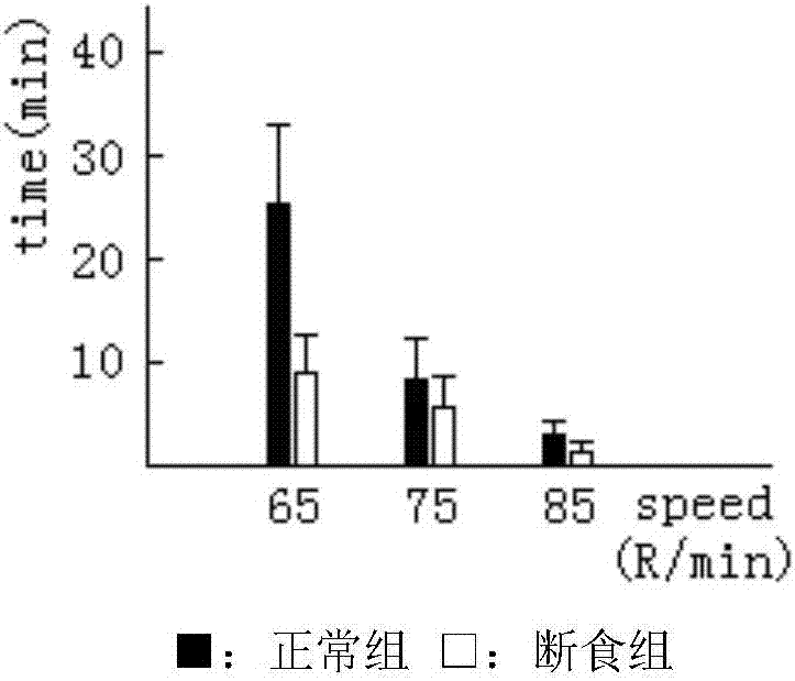 一種小鼠水平旋轉(zhuǎn)持久度測(cè)試裝置的制作方法