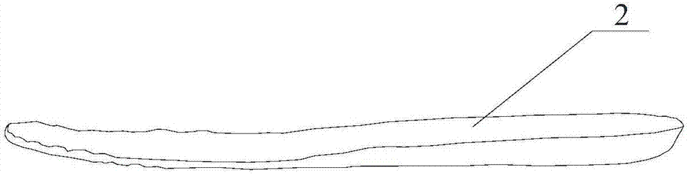 一種具有加熱和抽氣功能的空調(diào)式鞋的制作方法與工藝