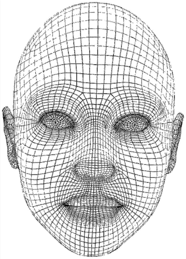 三维虚拟人嘴部运动的实现方法与流程