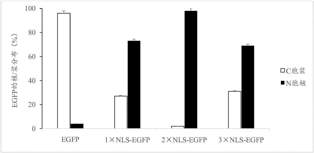 鴨圓環(huán)病毒ORF3蛋白核定位NLS序列及其應(yīng)用的制作方法與工藝