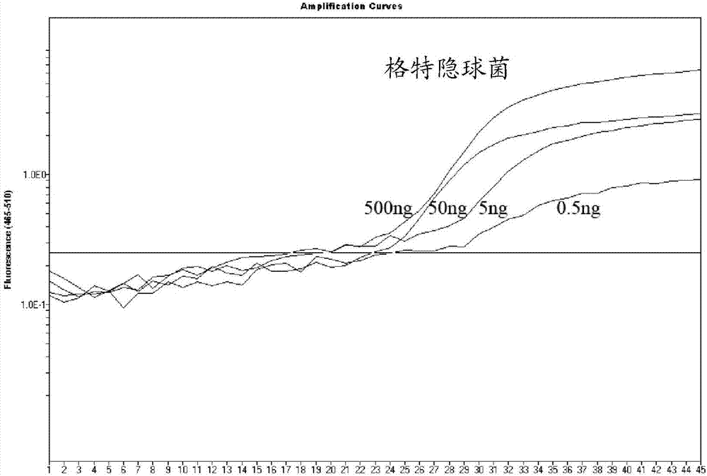 一种检测并鉴定隐球菌的靶基因、引物和探针及试剂盒的制作方法与工艺