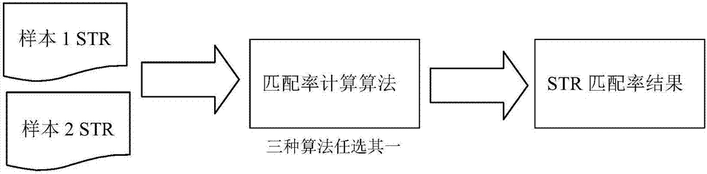 用于細(xì)胞系鑒定的21位點STR數(shù)據(jù)庫的建立方法及細(xì)胞鑒定及匹配率的計算方法和系統(tǒng)與流程