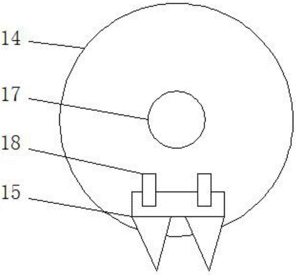 一種安全性高帶有固定作用的雞爪切塊機(jī)的制作方法與工藝