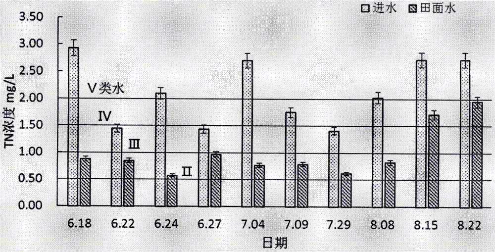 一种利用稻蟹共作防控农田面源污染的方法与流程