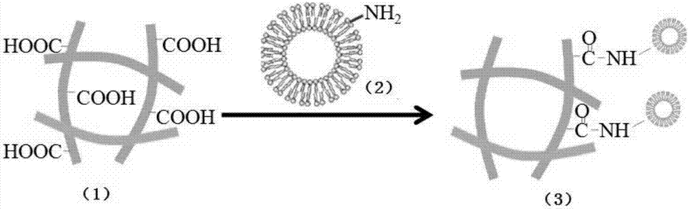 具有藥物釋放功能的3D打印生物支架及其制備方法與流程