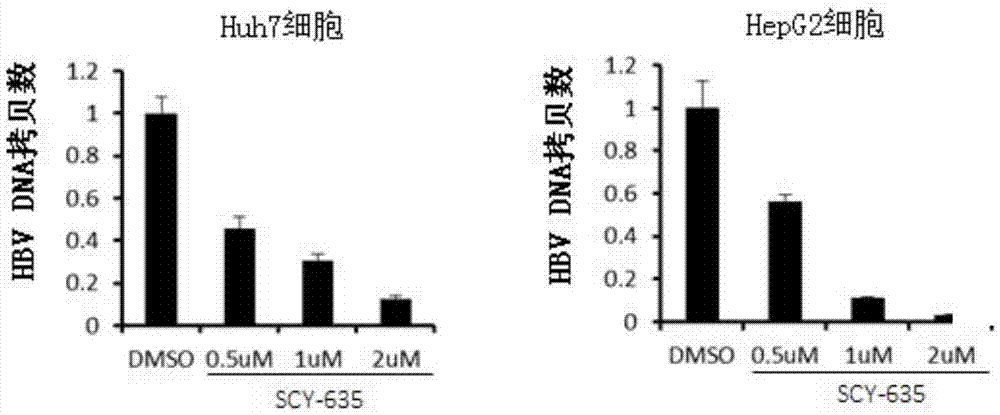 亲环孢素抑制剂的用途的制作方法与工艺