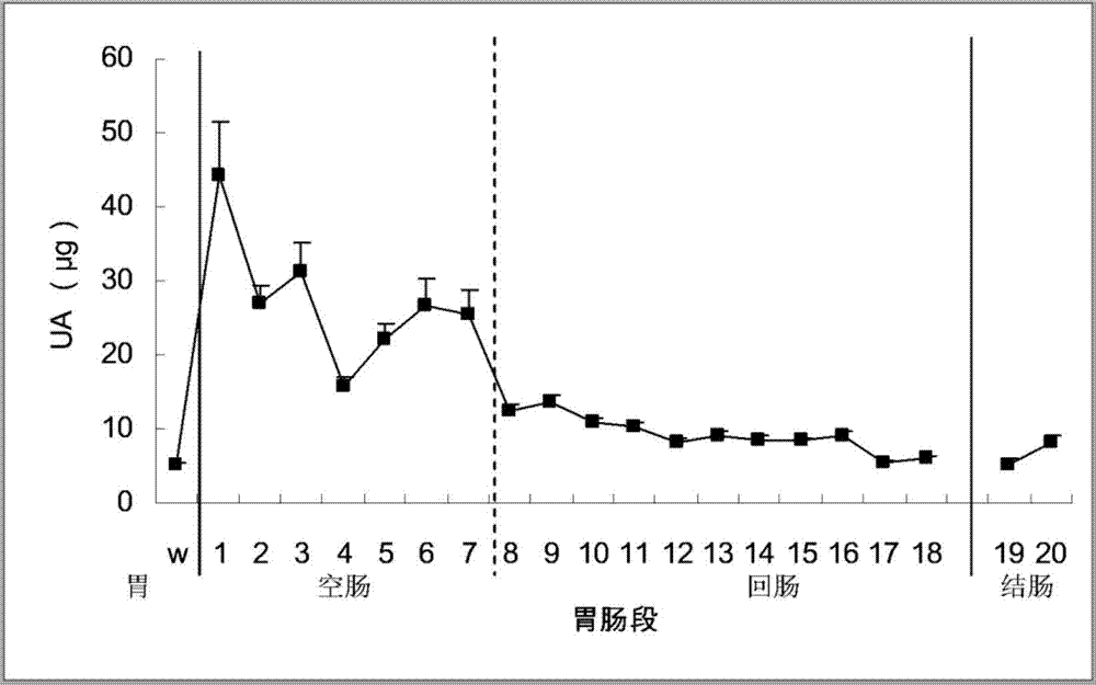 一种口服降尿酸药物的制备与应用的制作方法与工艺