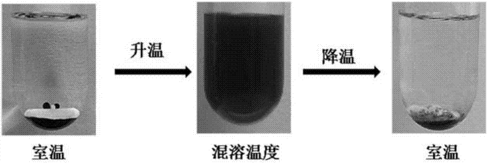 手性離子液體的制作方法與工藝