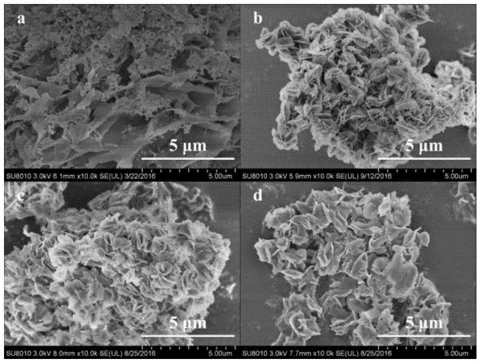 新型MFI分子筛/氧化石墨烯纳米片复合材料的制备方法与流程