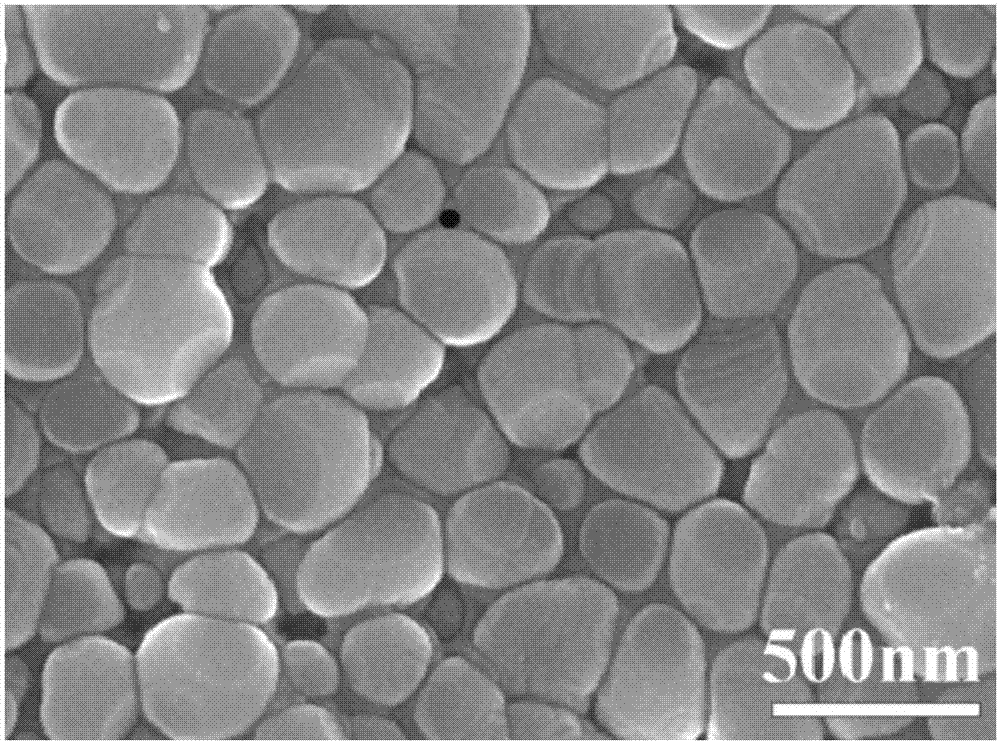 一种生物活性氧化锆牙科陶瓷材料的制备方法与流程