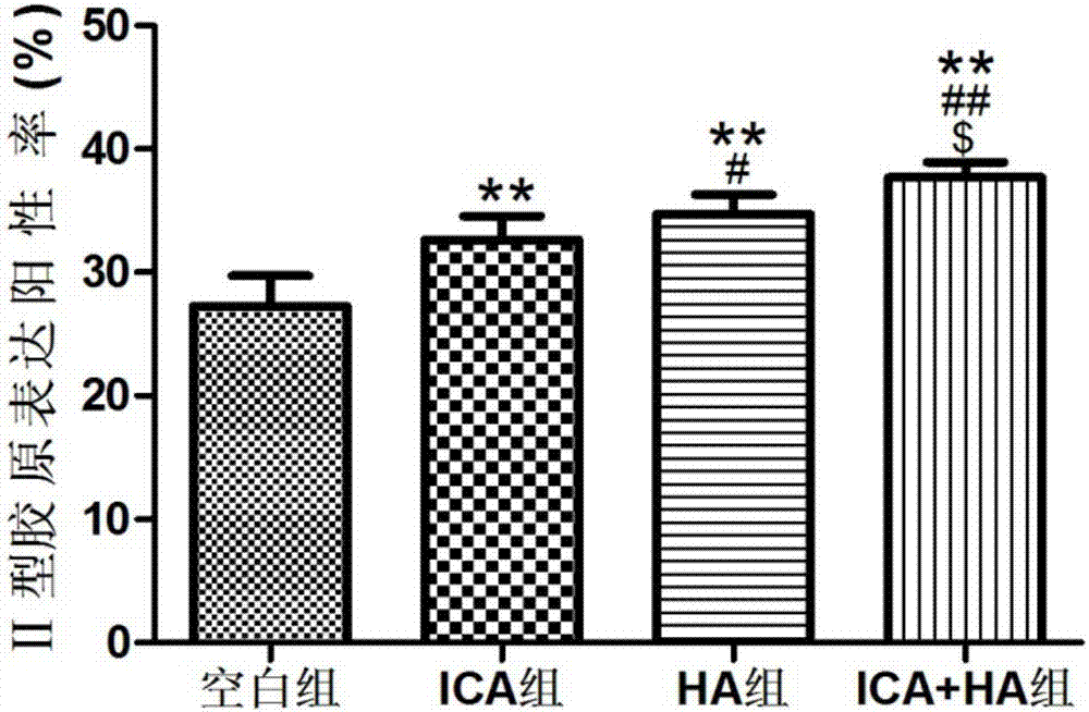 淫羊藿苷與透明質(zhì)酸的結合物及其制備方法和應用與流程