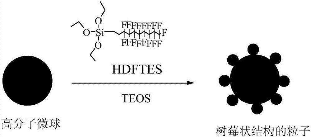 一種具有樹莓狀結(jié)構(gòu)復(fù)合粒子的超疏水性涂料及制備方法與流程