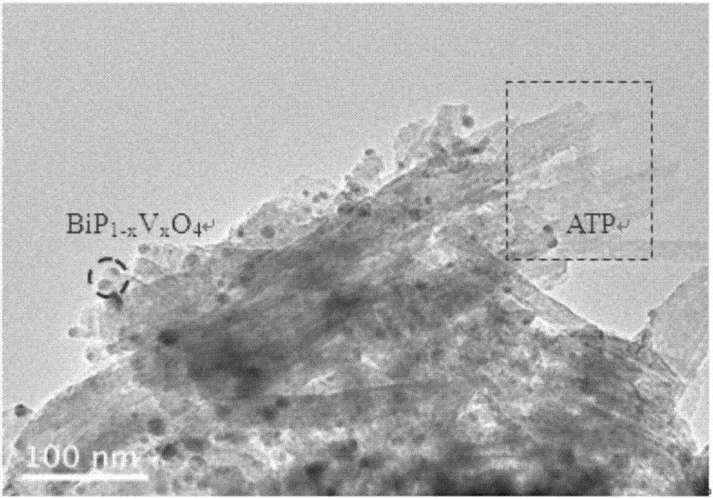 一种钒掺杂的磷酸铋/凹凸棒纳米复合材料及其制备方法和应用与流程