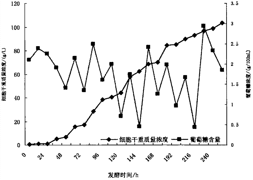 一种异养小球藻发酵废液再利用的方法与流程