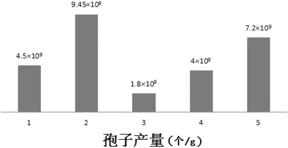 一株綠色木霉及其應(yīng)用的制作方法與工藝