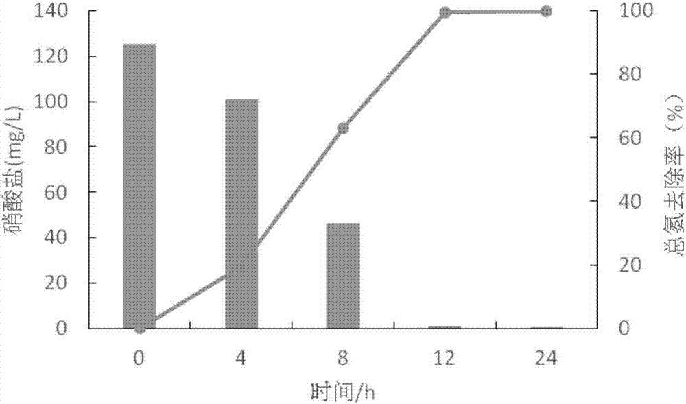 復(fù)合微生物菌劑及其制備方法和應(yīng)用與流程