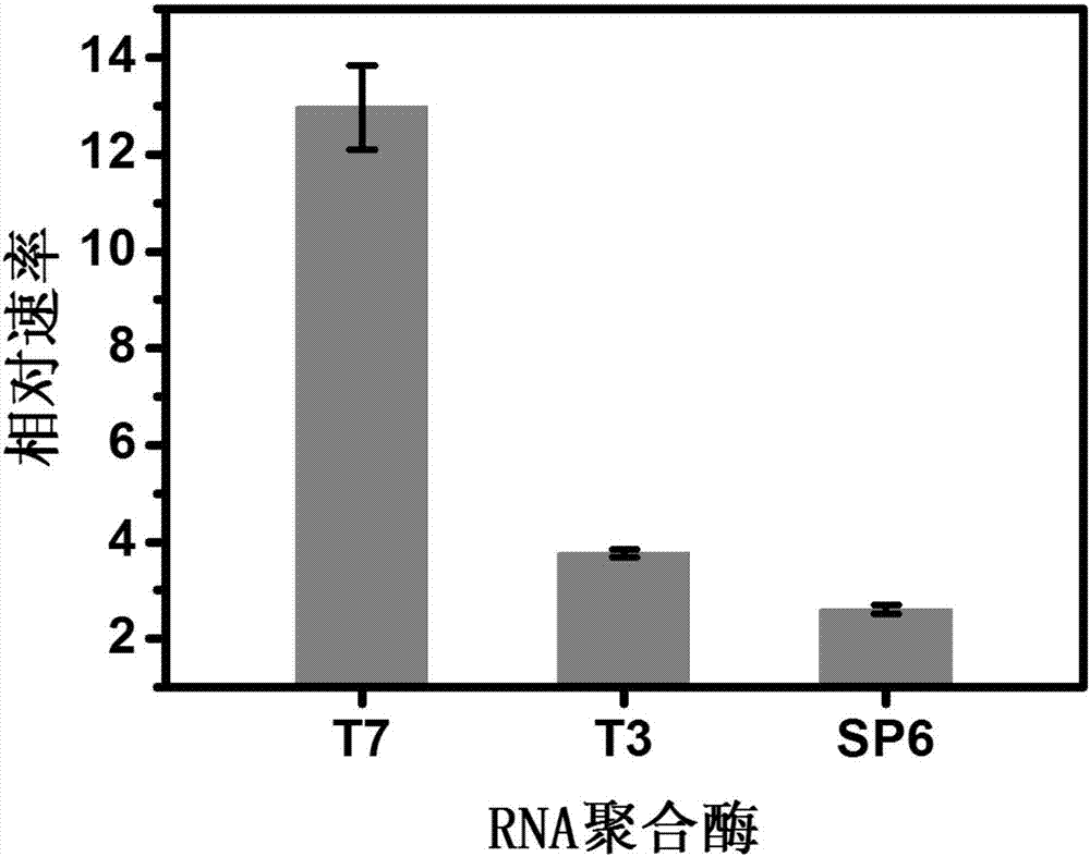 基于RNA聚合酶的體外轉(zhuǎn)錄機(jī)器快速多重檢測(cè)NTPs的方法及試劑盒與應(yīng)用與流程