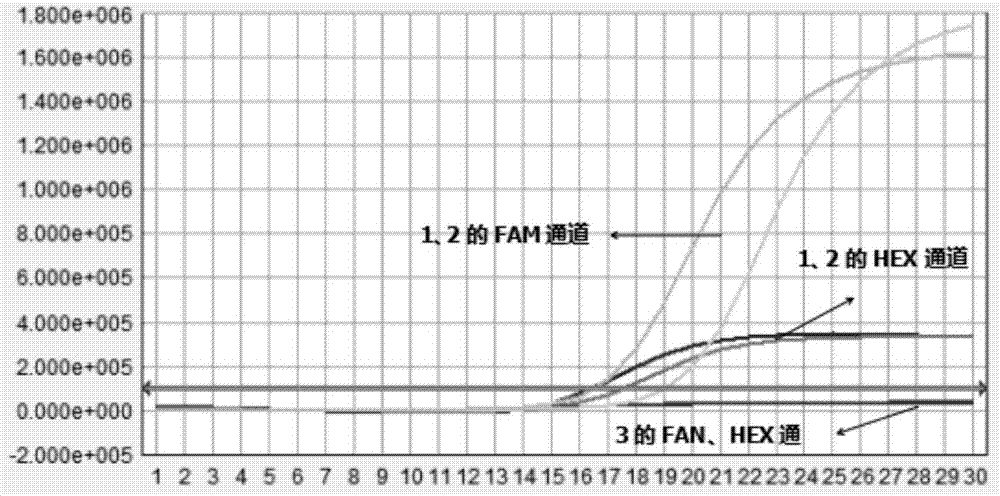 一种丙型肝炎病毒（HCV）恒温检测试剂盒的制作方法与工艺