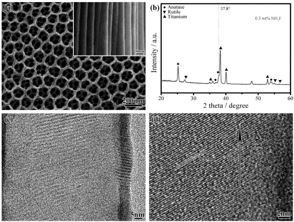 一维锐钛矿TiO2纳米管阵列薄膜择优取向结晶的方法与流程