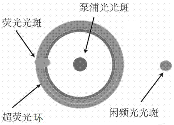 一种非共线光参量放大荧光光谱仪的数据采集方法与流程