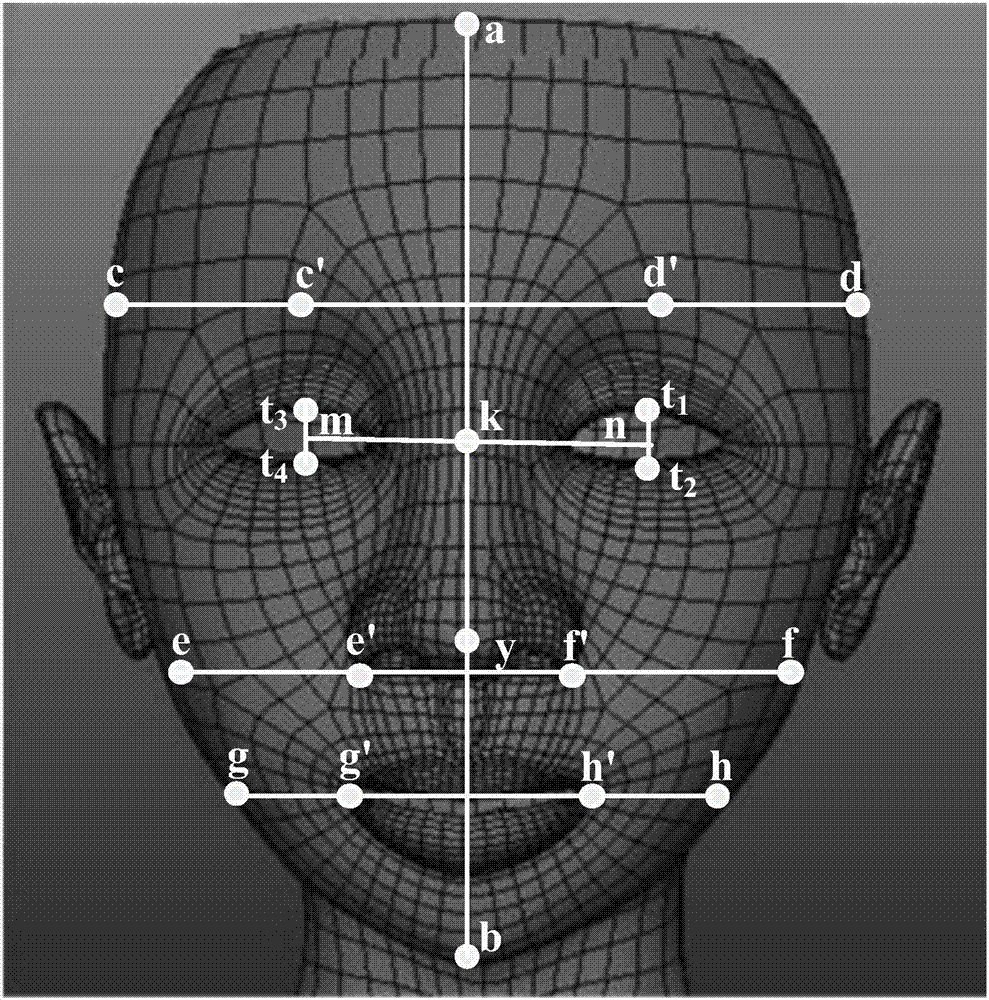 人脸脸型分类方法和系统与流程