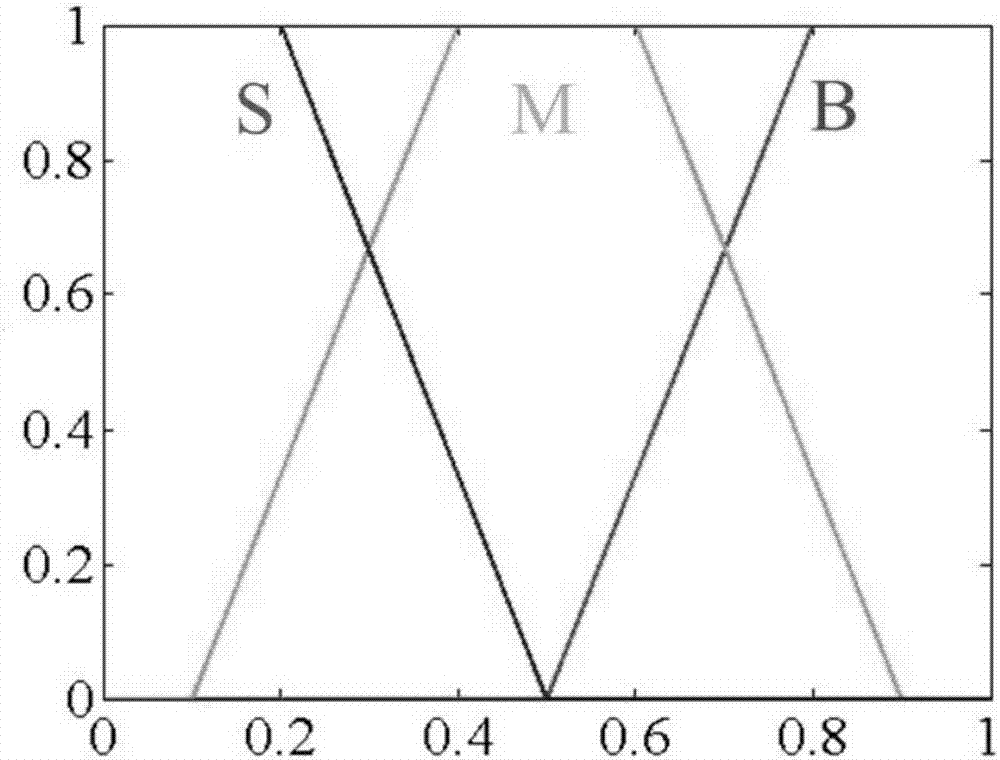 一种光学相干层析变形场降噪方法与流程