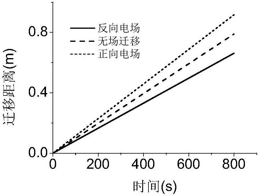 一種液相淌度分離裝置及與液相色譜和質(zhì)譜聯(lián)用的接口的制作方法