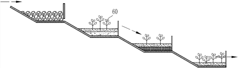 階梯型潛流景觀濕地系統的制作方法與工藝